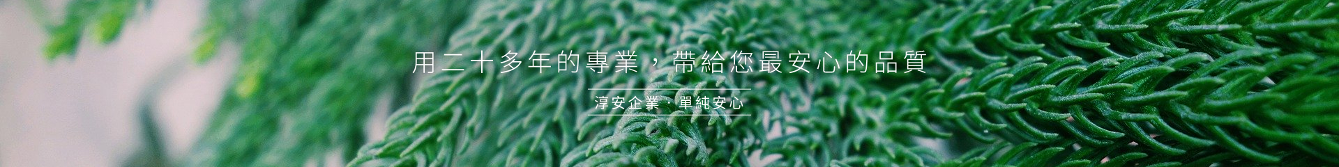 用二十多年的專業,帶給您最安心的品質 —— 淳安企業,單純安心